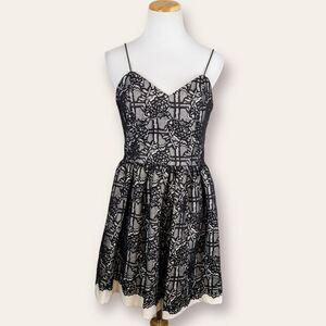 Aqua Womens Black White Lace Fit and Flare Cocktail Dress Size Medium NEW LBD